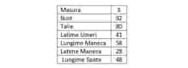 Haina Dama Gizell - Blana Naturala Vulpe Alb-7